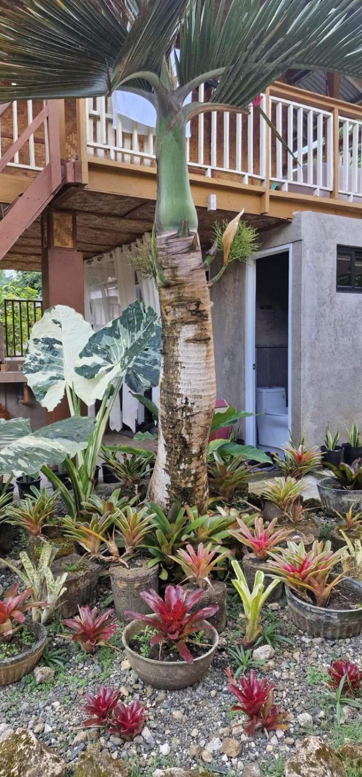 Khloe Serenity Guest House Batuan المظهر الخارجي الصورة